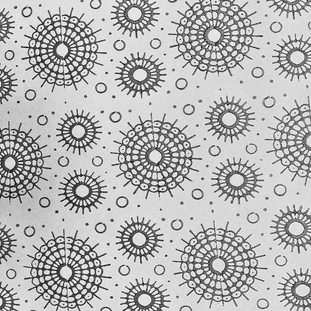 Patterned paint roller,SUN, No.29,, patterned paint, patterned roller,decorating roller,patterned paint roller designs - Roller Rock